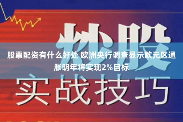 股票配资有什么好处 欧洲央行调查显示欧元区通胀明年将实现2%目标