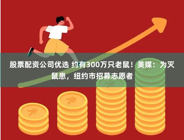 股票配资公司优选 约有300万只老鼠！美媒：为灭鼠患，纽约市招募志愿者