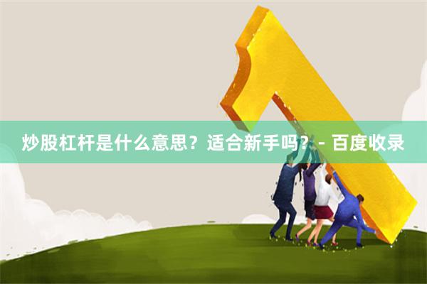 炒股杠杆是什么意思？适合新手吗？- 百度收录