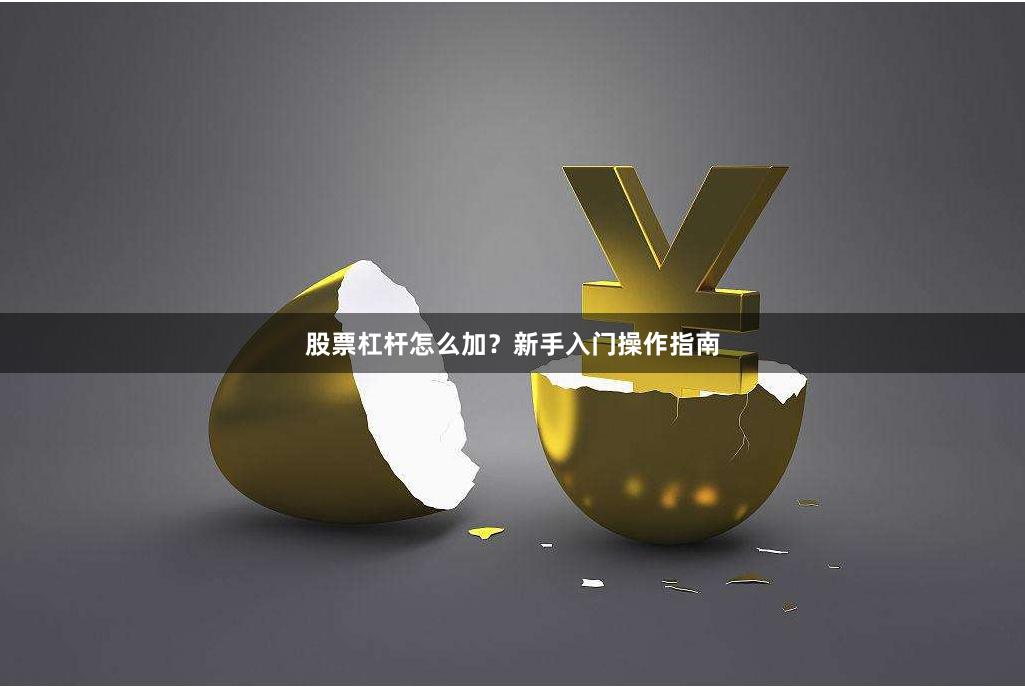 股票杠杆怎么加？新手入门操作指南