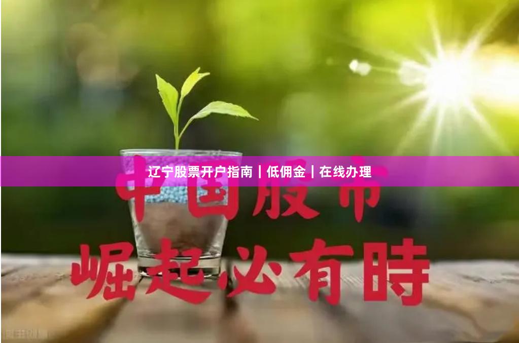 辽宁股票开户指南｜低佣金｜在线办理
